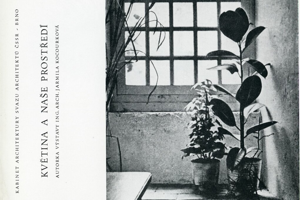 Květina a naše prostředí